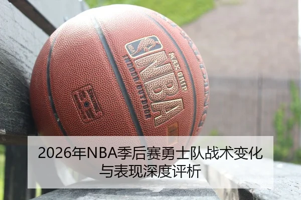 nian-ji-hou-sai-yong-shi-dui-zhan-shu-bian-hua-yu-biao-xian-shen-du-ping-xi-2-811.jpg