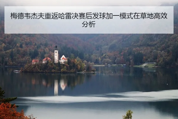 mei-de-wei-jie-fu-chong-fan-ha-lei-jue-sai-hou-fa-qiu-jia-yi-mo-shi-zai-cao-di-gao-xiao-fen-xi-2-651.jpg