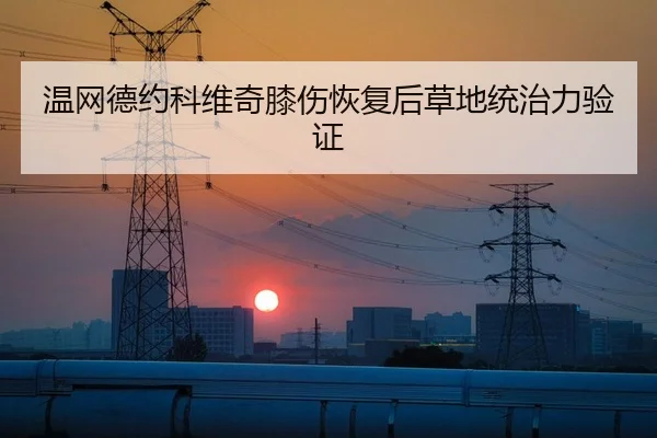 温网德约科维奇膝伤恢复后草地统治力验证