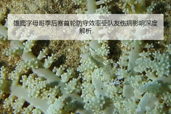 xiong-lu-zi-mu-ge-ji-hou-sai-shou-lun-fang-shou-xiao-lv-shou-dui-you-shang-bing-ying-xiang-shen-du-jie-xi-3-831.jpg