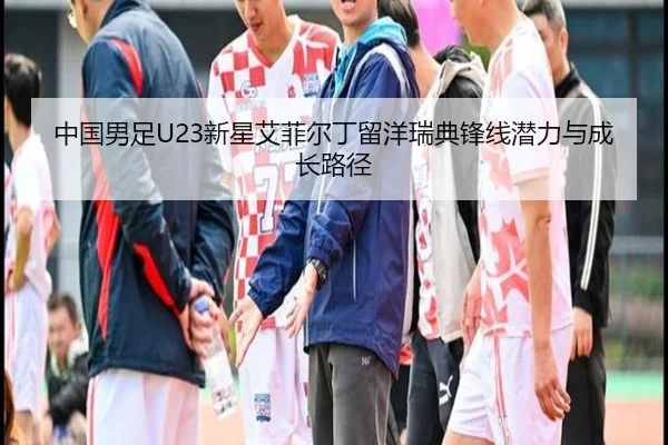 zhong-guo-nan-zu-xin-xing-ai-fei-er-ding-liu-yang-rui-dian-feng-xian-qian-li-yu-cheng-zhang-lu-jing-3-972.jpg